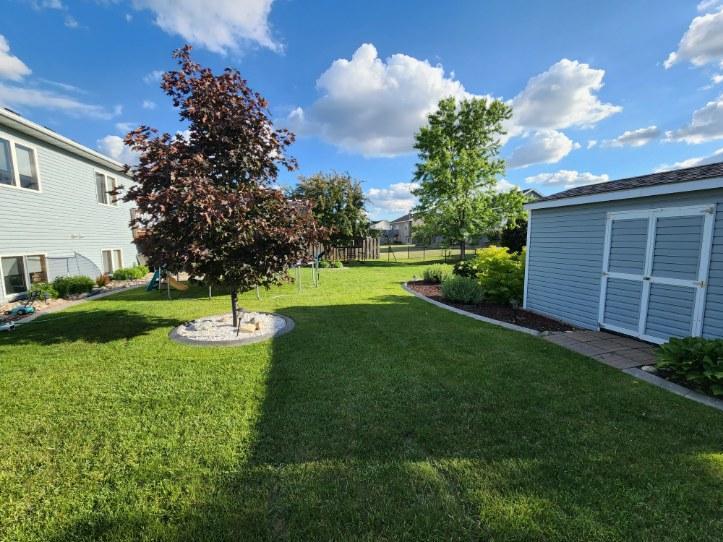 Backyard - Summer