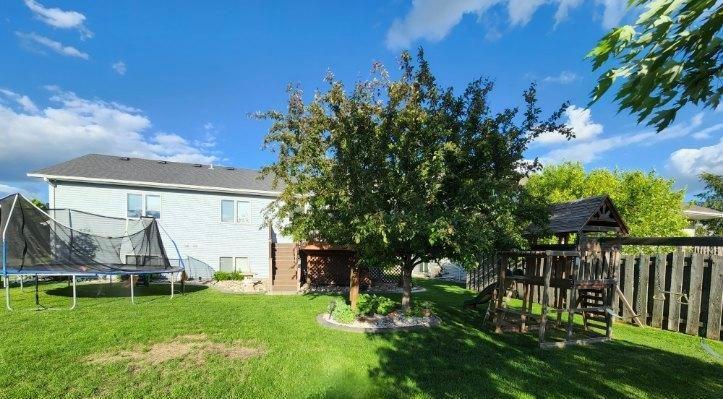 Backyard - Summer