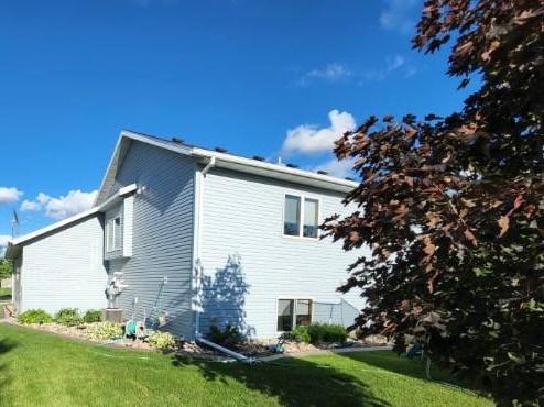 Back of house - Summer
