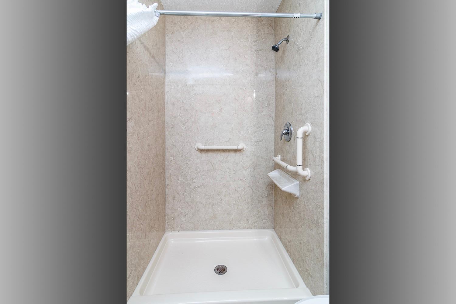 Primary bathroom - walk in shower