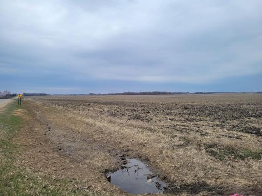 Farmland Picture 2