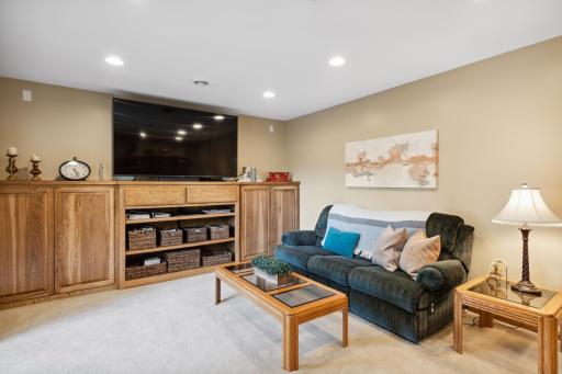 Those cabinets are solid hickory too! The blank white plates near the ceiling are for surround sound speakers.
