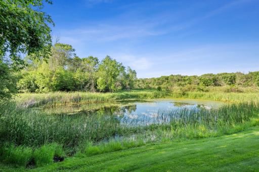 There are multiple ponds on the property. Just sit here and listen to the frogs and birds - you will love it.