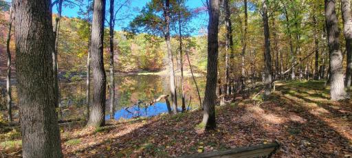 There are various private ponds throughout the acreage