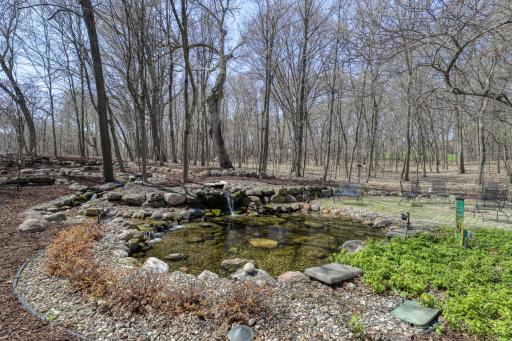 Babbling creek empties into tranquil Koi pond.