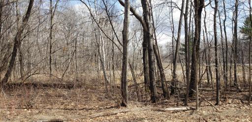 Photo for L3-6 Blk 6 Summit Road, Onamia, MN 56359 - Listing #6361598 L3-6 Blk 6 Summit Road, Onamia, MN 56359