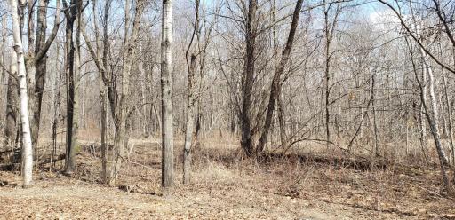 Photo for L3-6 Blk 6 Summit Road, Onamia, MN 56359 - Listing #6361598 L3-6 Blk 6 Summit Road, Onamia, MN 56359