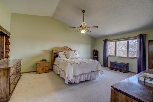 Large master suite featuring a walk-in closet and a private bath