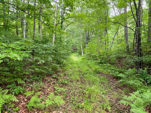 Photo for TBD Wayside Road, Iron River, WI 54847 - Listing #6362478 TBD Wayside Road, Iron River, WI 54847