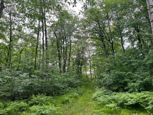 Photo for TBD Wayside Road, Iron River, WI 54847 - Listing #6362478 TBD Wayside Road, Iron River, WI 54847
