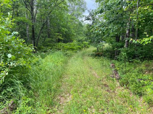Photo for TBD Wayside Road, Iron River, WI 54847 - Listing #6362478 TBD Wayside Road, Iron River, WI 54847
