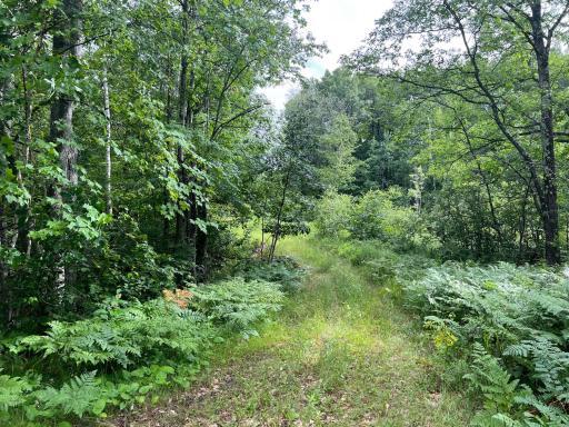 Photo for TBD Wayside Road, Iron River, WI 54847 - Listing #6362478 TBD Wayside Road, Iron River, WI 54847