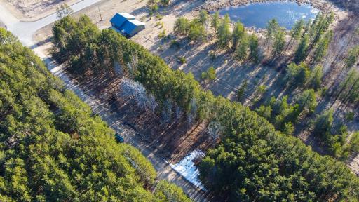 TBD Lot 16 Bel Tree Drive NE, Bemidji, MN 56601