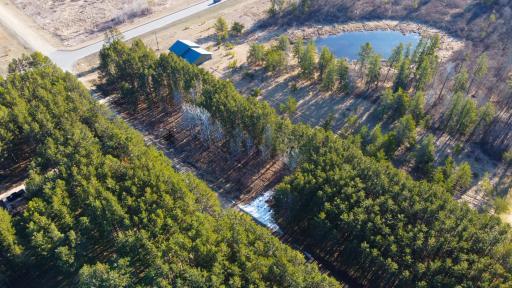 TBD Lot 16 Bel Tree Drive NE, Bemidji, MN 56601