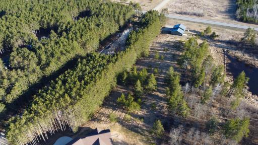 TBD Lot 16 Bel Tree Drive NE, Bemidji, MN 56601