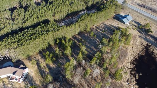 TBD Lot 16 Bel Tree Drive NE, Bemidji, MN 56601