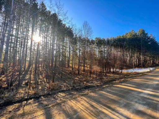 TBD Lot 16 Bel Tree Drive NE, Bemidji, MN 56601
