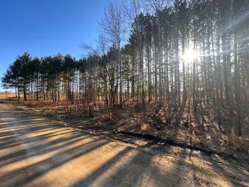 TBD Lot 16 Bel Tree Drive NE, Bemidji, MN 56601