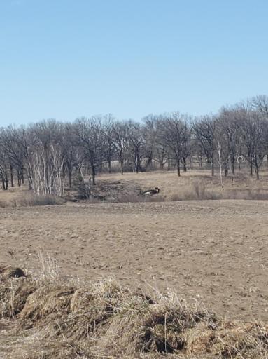 xxx Cty Hwy 69, Parkers Prairie, MN 56361