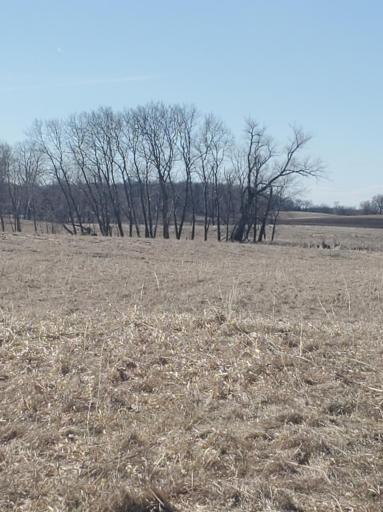xxx Cty Hwy 69, Parkers Prairie, MN 56361