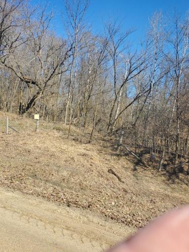 xxx Cty Hwy 69, Parkers Prairie, MN 56361