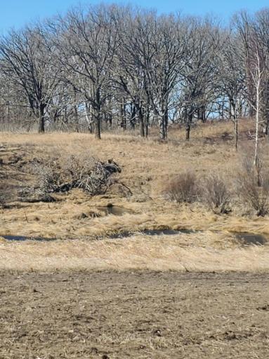 xxx Cty Hwy 69, Parkers Prairie, MN 56361