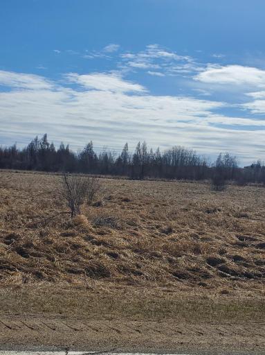 xxx Cty Hwy 69, Parkers Prairie, MN 56361