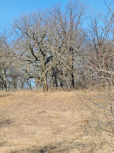 xxx Cty Hwy 69, Parkers Prairie, MN 56361