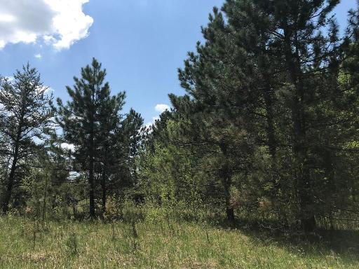 TBD State Hwy 34, Park Rapids, MN 56470