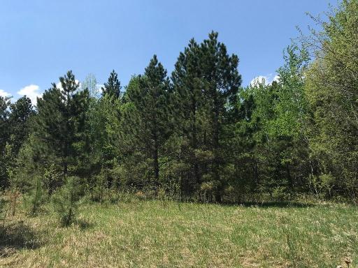 TBD State Hwy 34, Park Rapids, MN 56470