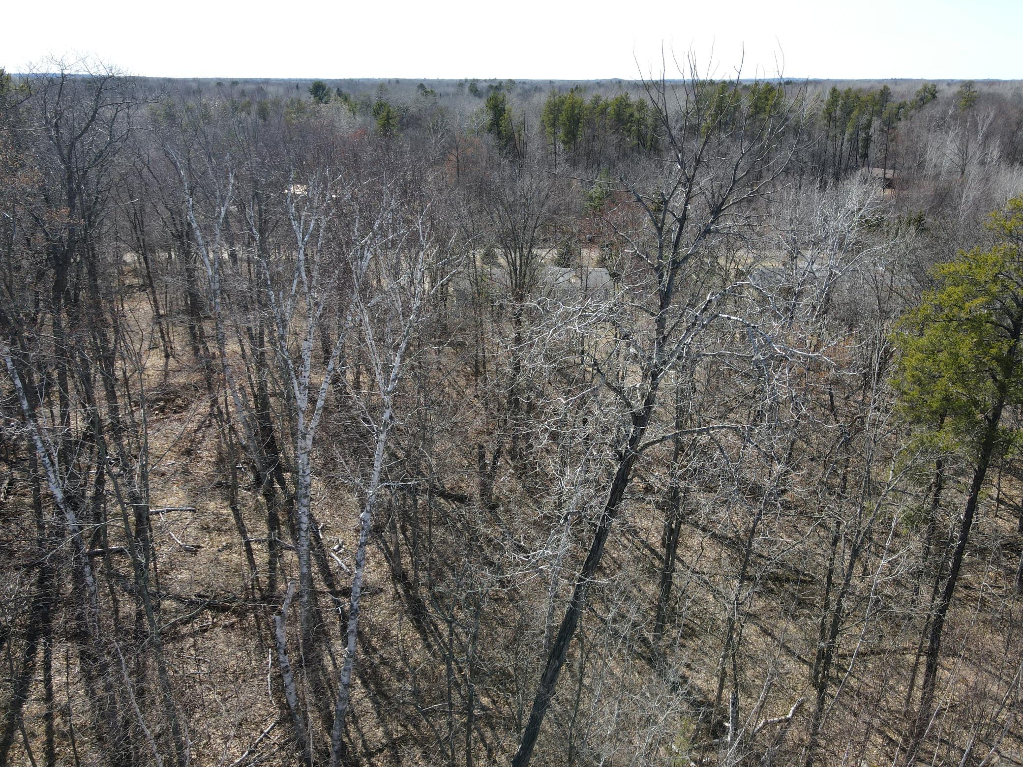 DJI_0815.JPG