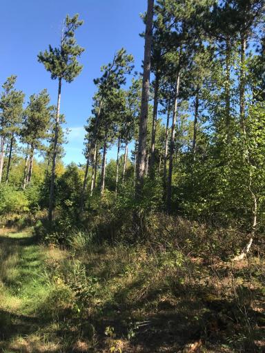000 Saint Francis Boulevard, Nowthen, MN 55303