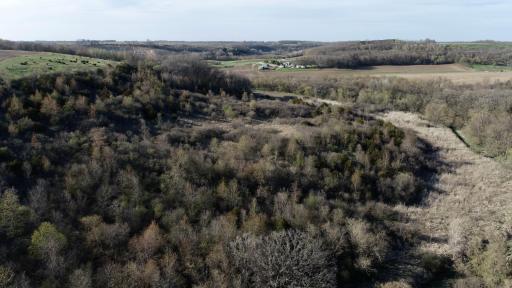 16088 Maple Road, Preston, MN 55965