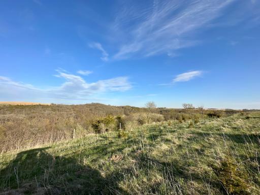16088 Maple Road, Preston, MN 55965