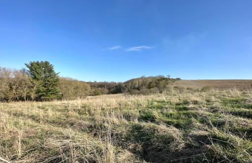 16088 Maple Road, Preston, MN 55965
