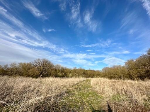 16088 Maple Road, Preston, MN 55965
