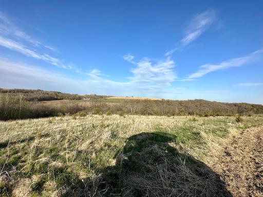 16088 Maple Road, Preston, MN 55965