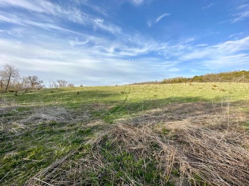 16088 Maple Road, Preston, MN 55965