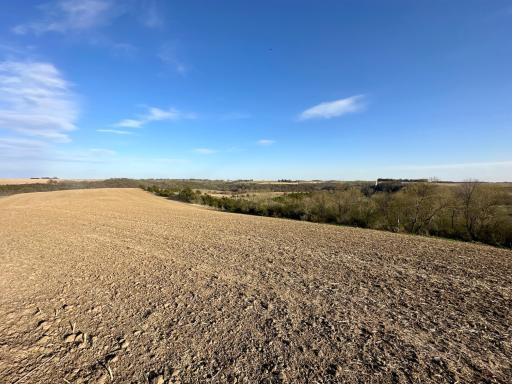 16088 Maple Road, Preston, MN 55965