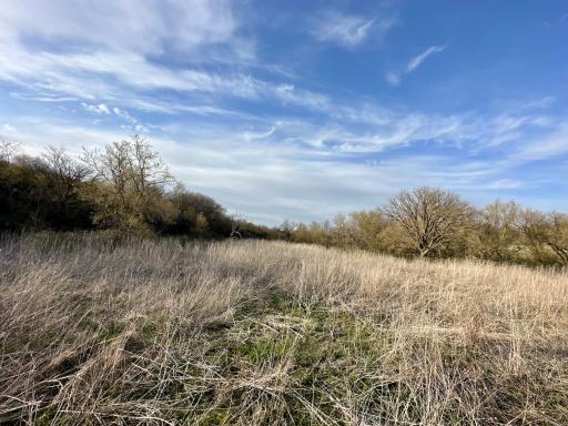 16088 Maple Road, Preston, MN 55965