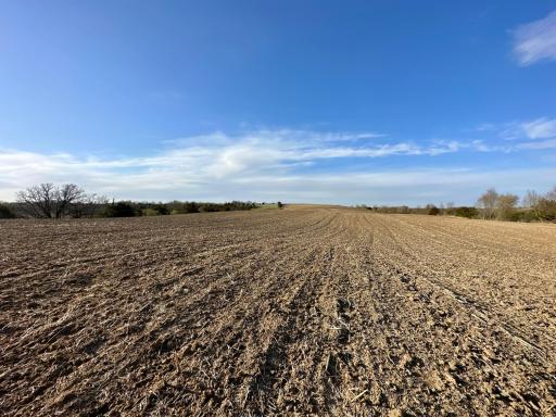 16088 Maple Road, Preston, MN 55965