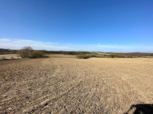 16088 Maple Road, Preston, MN 55965