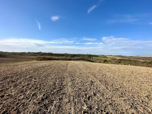 16088 Maple Road, Preston, MN 55965