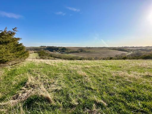 16088 Maple Road, Preston, MN 55965