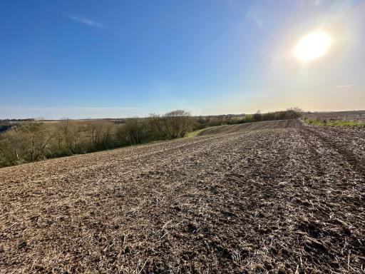 16088 Maple Road, Preston, MN 55965