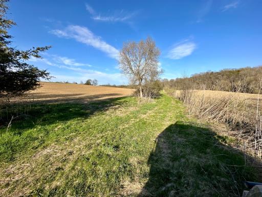 16088 Maple Road, Preston, MN 55965