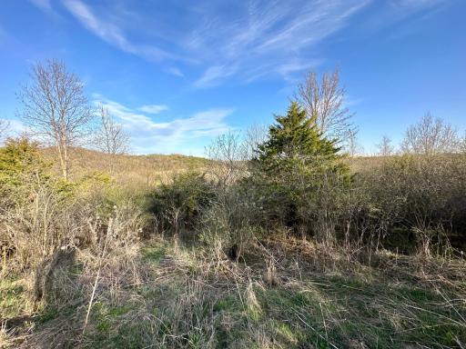16088 Maple Road, Preston, MN 55965