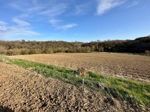 16088 Maple Road, Preston, MN 55965