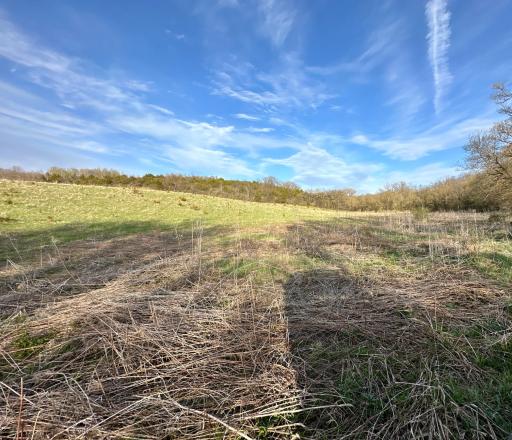 16088 Maple Road, Preston, MN 55965