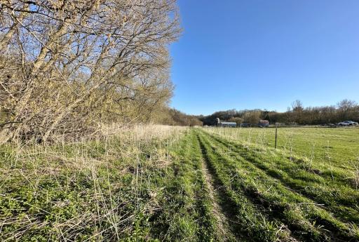 16088 Maple Road, Preston, MN 55965